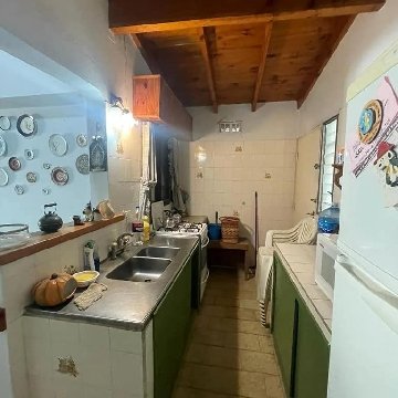 384-3590.jpg