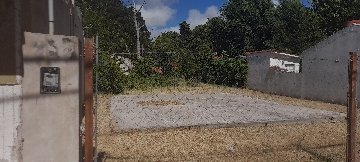 388-3599.jpg